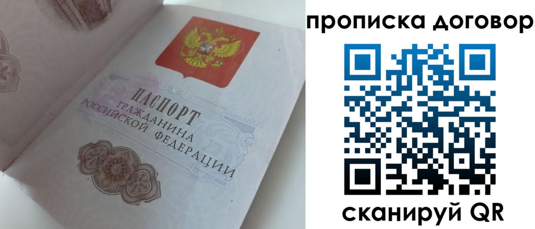 прописка поиск в Губкинском
